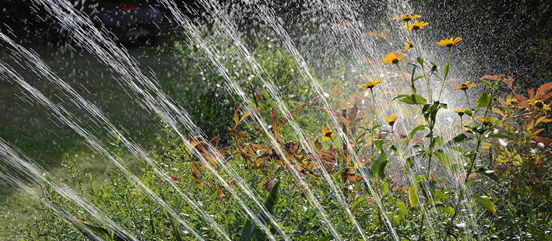 Bomba de agua para regar el jardín
